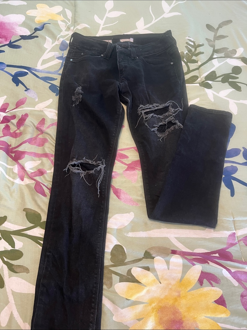 silence + noise Black Distressed Skinny Jeans